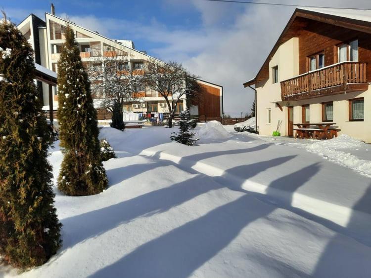 Hotel Casa Maria Vatra Dornei Exteriér fotografie